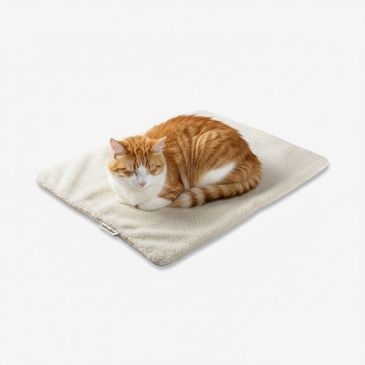 Couverture auto-chauffante pour chat