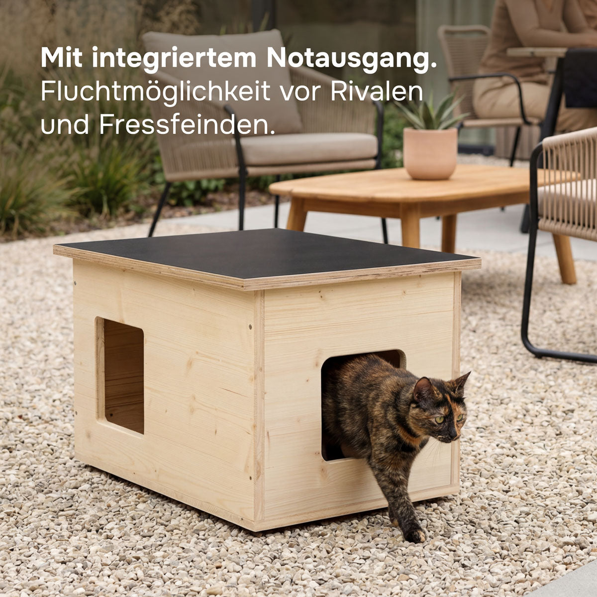 Niche pour chat isolée pour l'extérieur, résistante aux intempéries, fabriqué en Allemagne, avec isolation, résistante à l'hiver